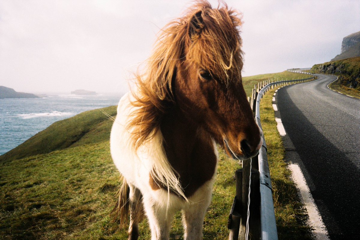 Giulia Gartner tweet media