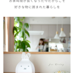 「ただかわいい」♡ミッフィティッシュケースの商品説明が最高。