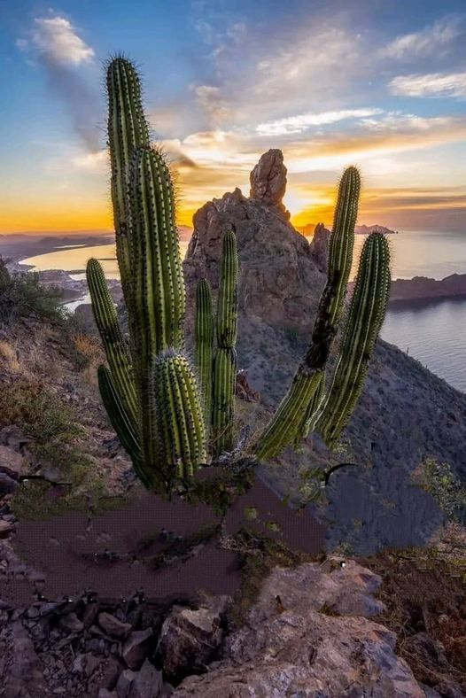 Cerro 'Tetakawi ', San Carlos, Guaymas, Sonora.