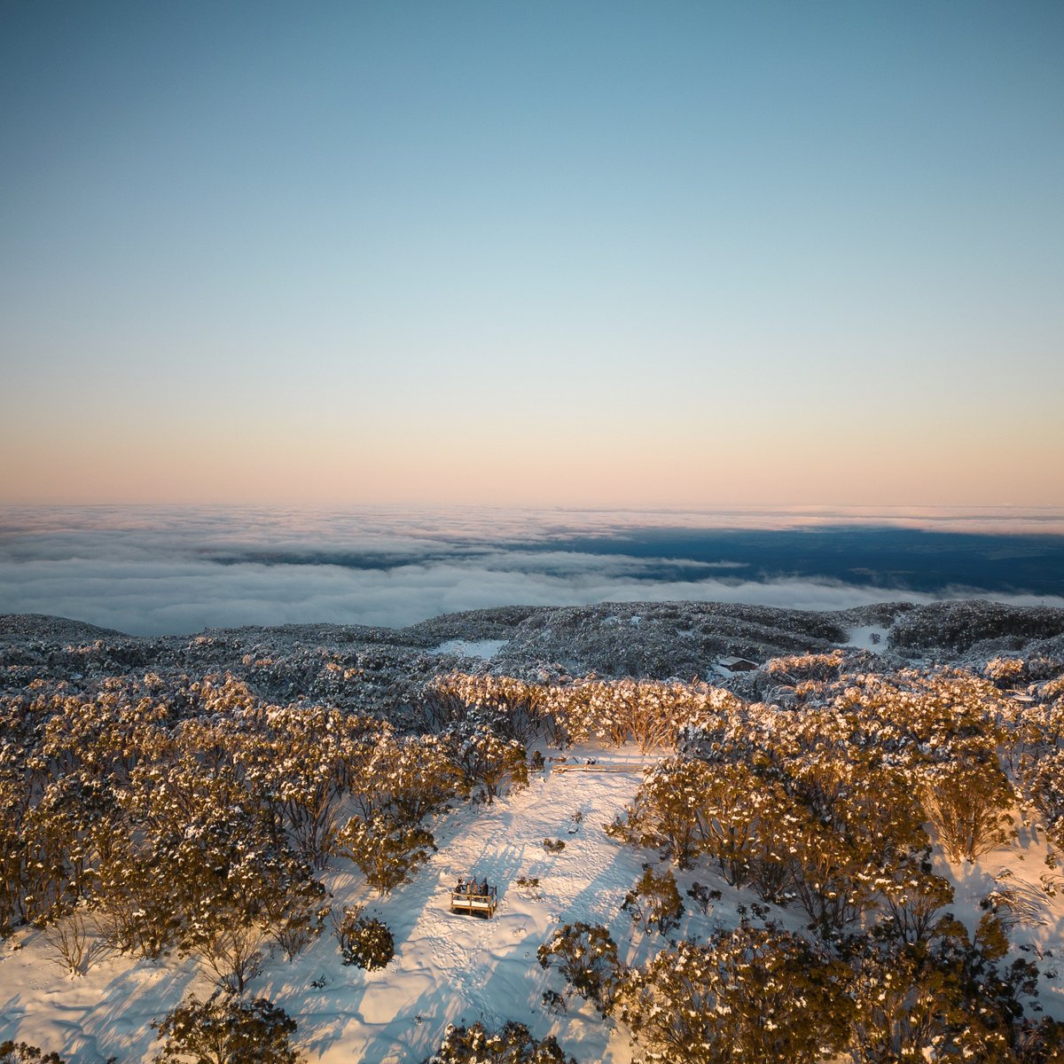 Mt Baw Baw tweet media