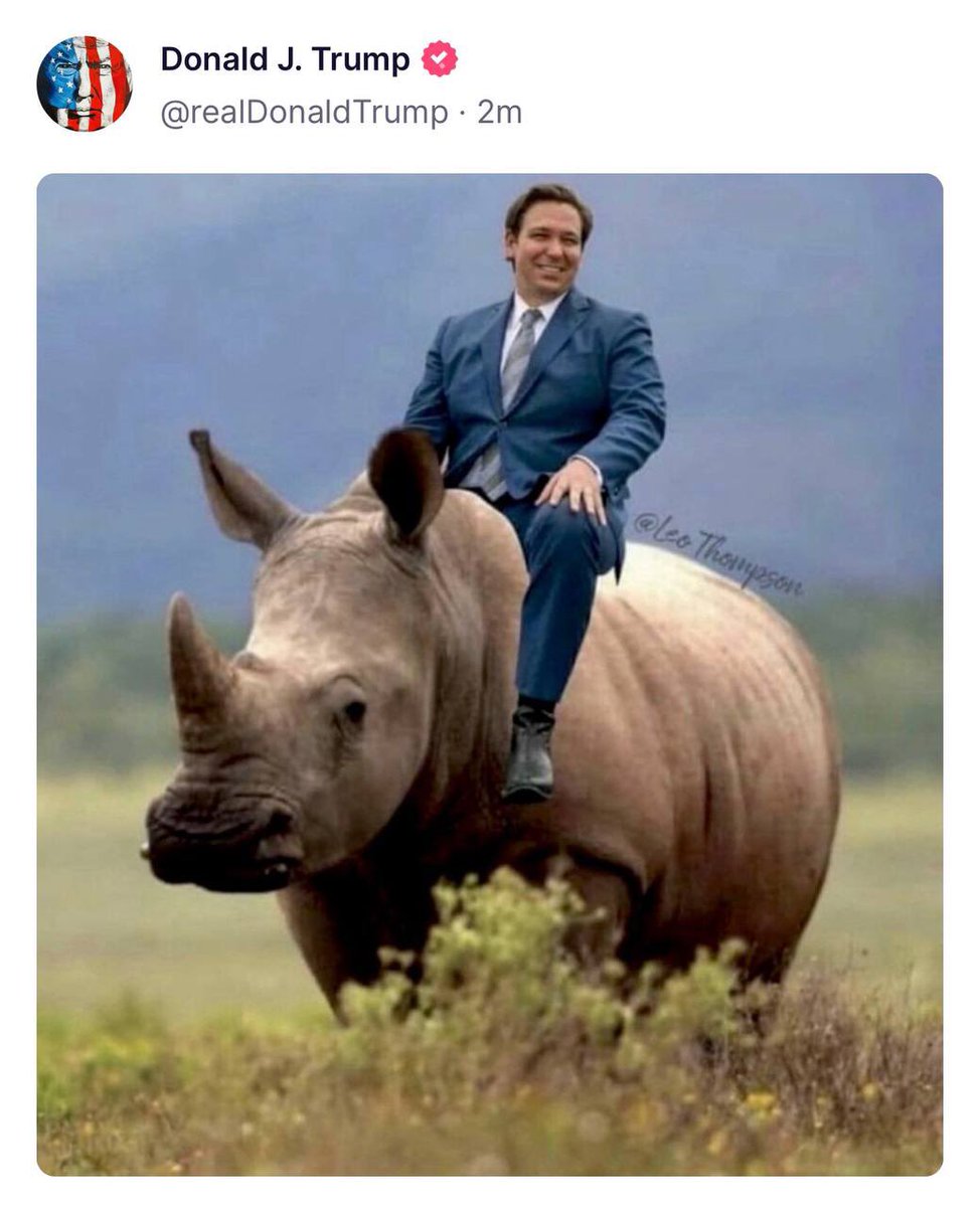 Giddy up lil RINO!