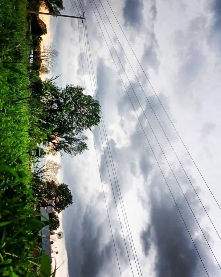 MrsS438's tweet image. Ahh Nature at its finest #nature #NatureBeauty #NaturePhotograhpy