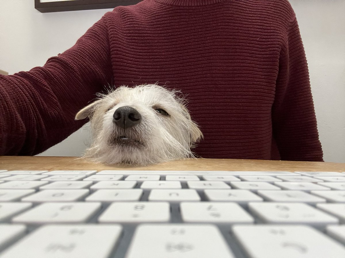 martintom's tweet photo. Final book writing sprint. Some of us are really exhausted from all the writing… #teamwork #designingtomorrow @bispublishers https://t.co/bVbiCpxl9o