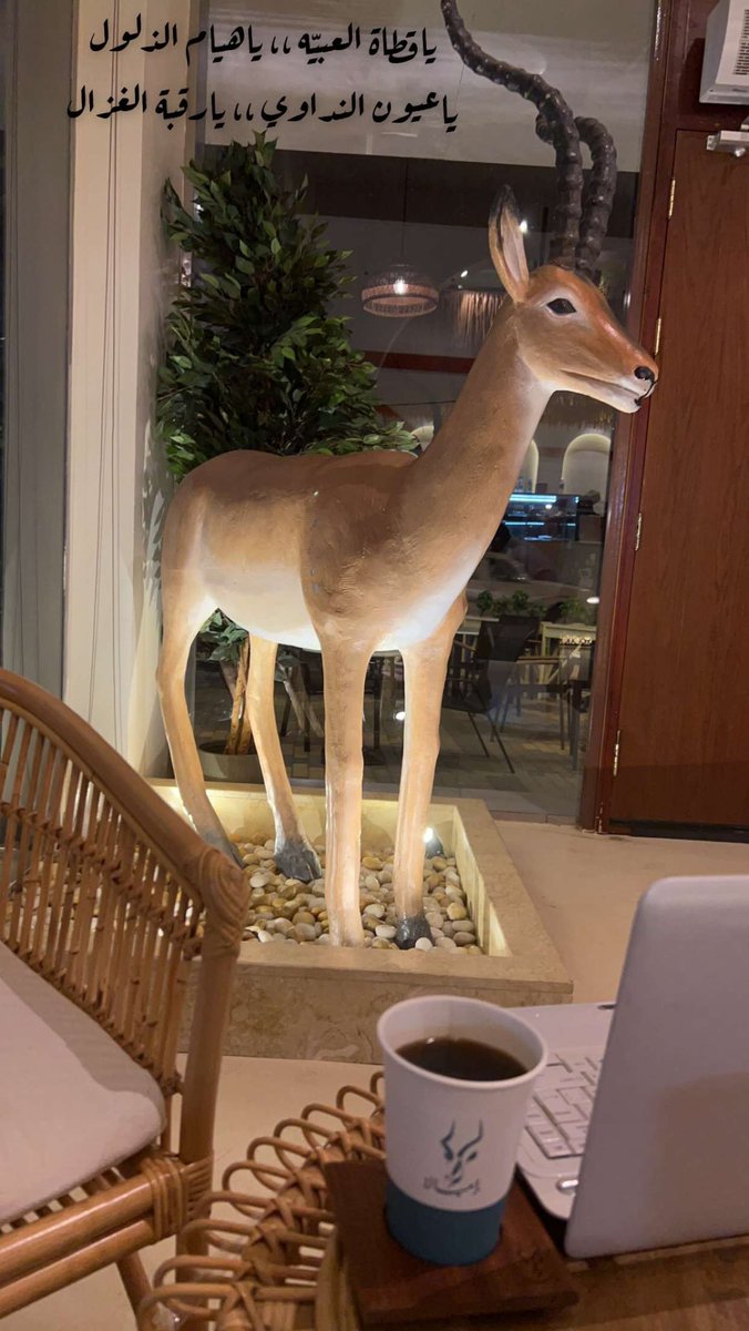 king21122's tweet photo. ياقطاة العبيّه ،، ياهيام الذلول
ياعيون النداوي ،، يارقبة الغزال
ابن جدلان رحمه الله

مزاج القهوة وجمال المكان وهدوء الديكور 
 في #كافيه إمبالا بيشة 

#بيشة 
#يحدث_في_بيشة
#تصويري_سنابي_بيشة 
#كافي_أمبالا
#كوفي_أمبالا_بيشة
#تصويري_سناب
#بيشة_الان #جدلانيات https://t.co/ms2w93y15r