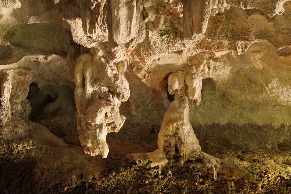 .
The caves of Halong Bay
.
Dark and Bright Cave, Lan Ha/Cat Ba
.
.
.
#vietnam #halongbay #hanoi #traveldiaries #geology #geologyrocks #caves