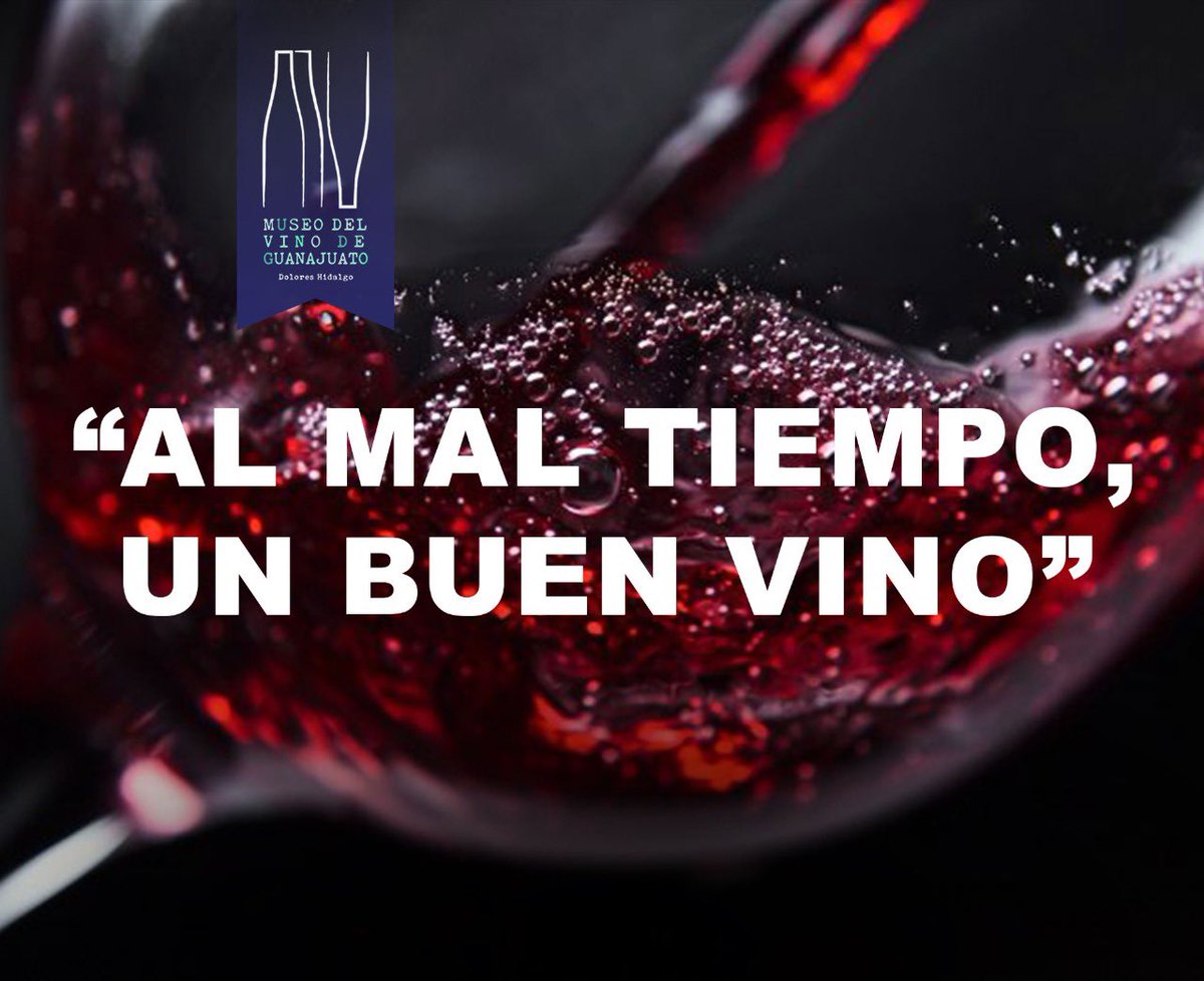 Una frase muy cierta 😌☝🏻y lo necesito este fin de semana. 🍷#vinomexicano