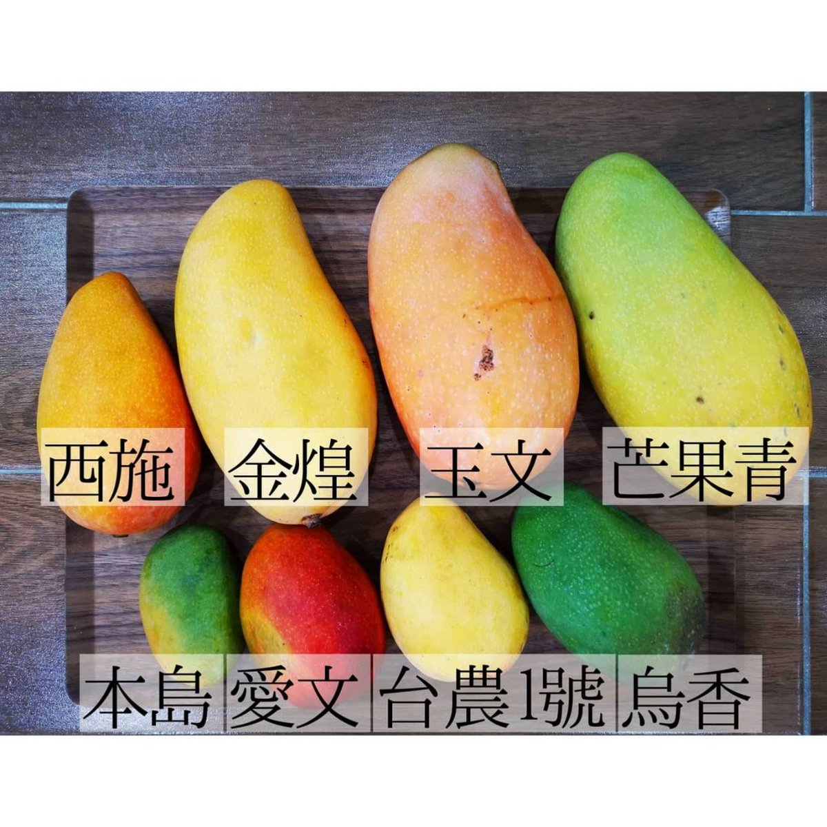 はるを♀飛行機好き腹ペコ tweet media