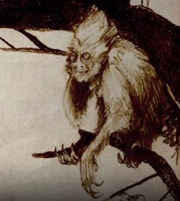 NeatCastPod's tweet image. Evidence of the day! The kalanoro is a humanoid cryptid from Madagascar. It’s no Bigfoot, but it’ll serve. #kalanoro #cryptid #evidence #neatcast