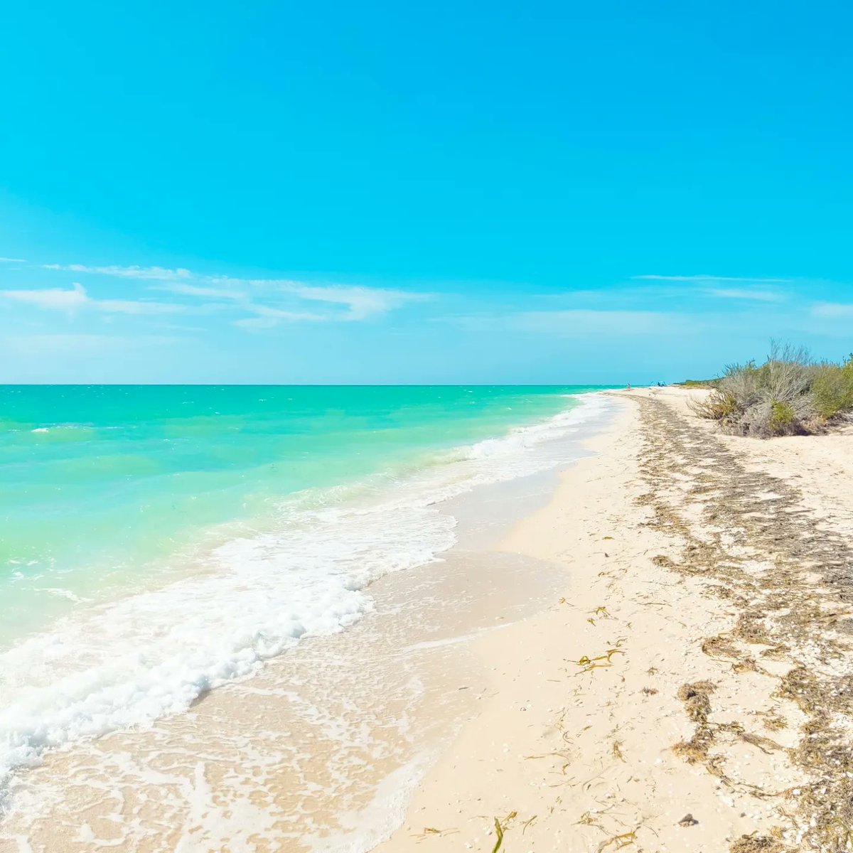 _SamyMartinez's tweet photo. Celestun, Yucatan https://t.co/77mPEqKIyh