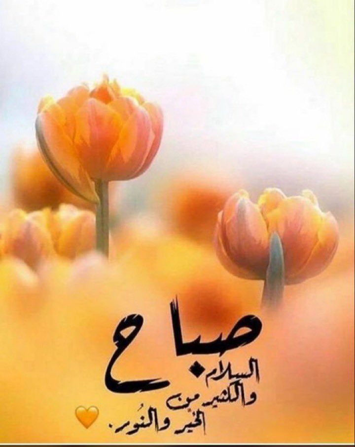 #صباح_الخيرᅠ