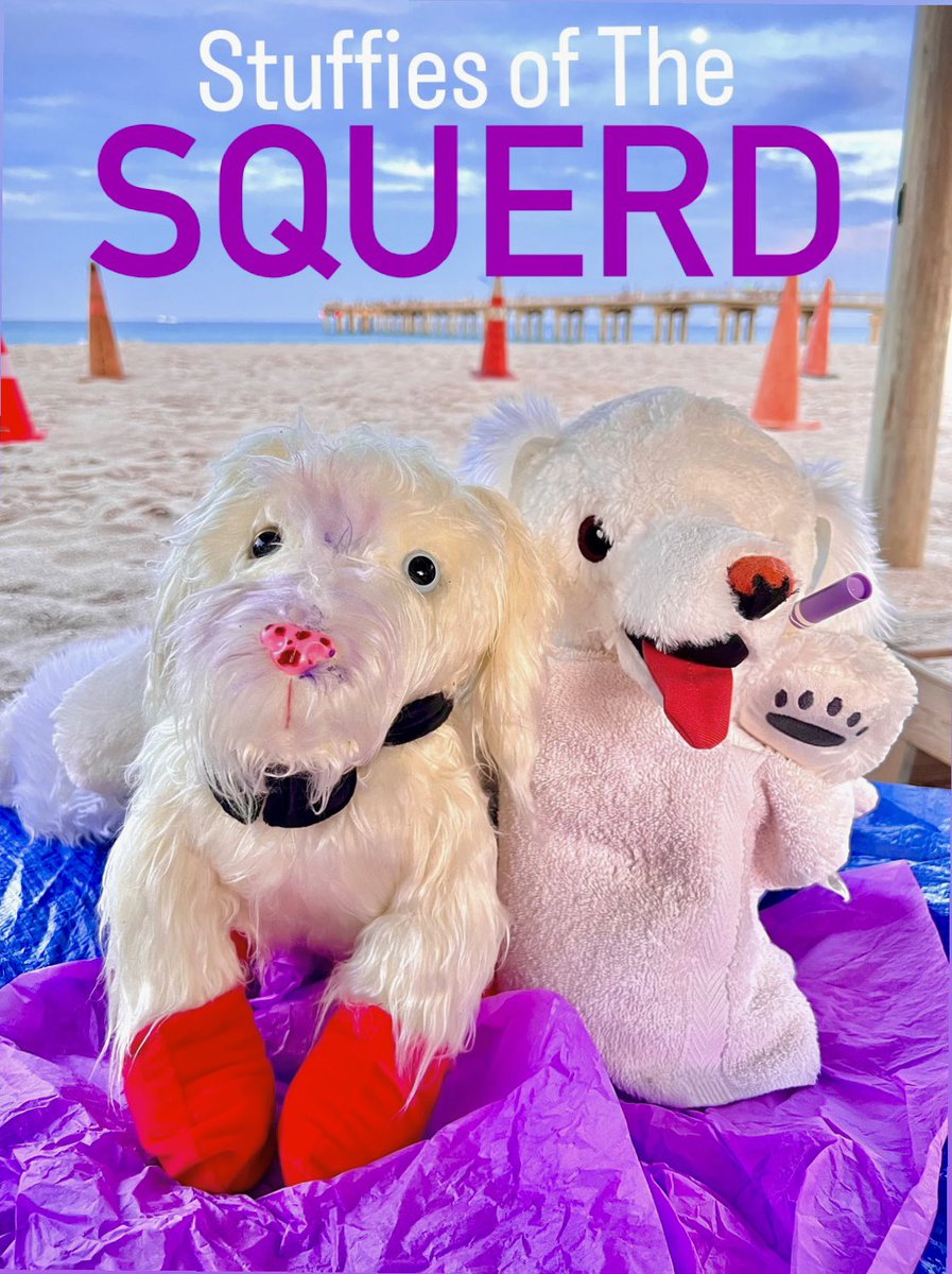 StuffieVoods's tweet photo. #StuffieVoods (& I) are overjoyed to present to you-
The few.
The proud.
The Stuffies of The #SQUERD*!!π€π
Overwhelmed by the kindness & generosity of spirit of @tine_theherd @jvonlemon & #PAC (Purple Anderson Cooper)
THANK YOU!! π
*The Herd + The Squad= The SQUERD https://t.co/ui86GbNZbD