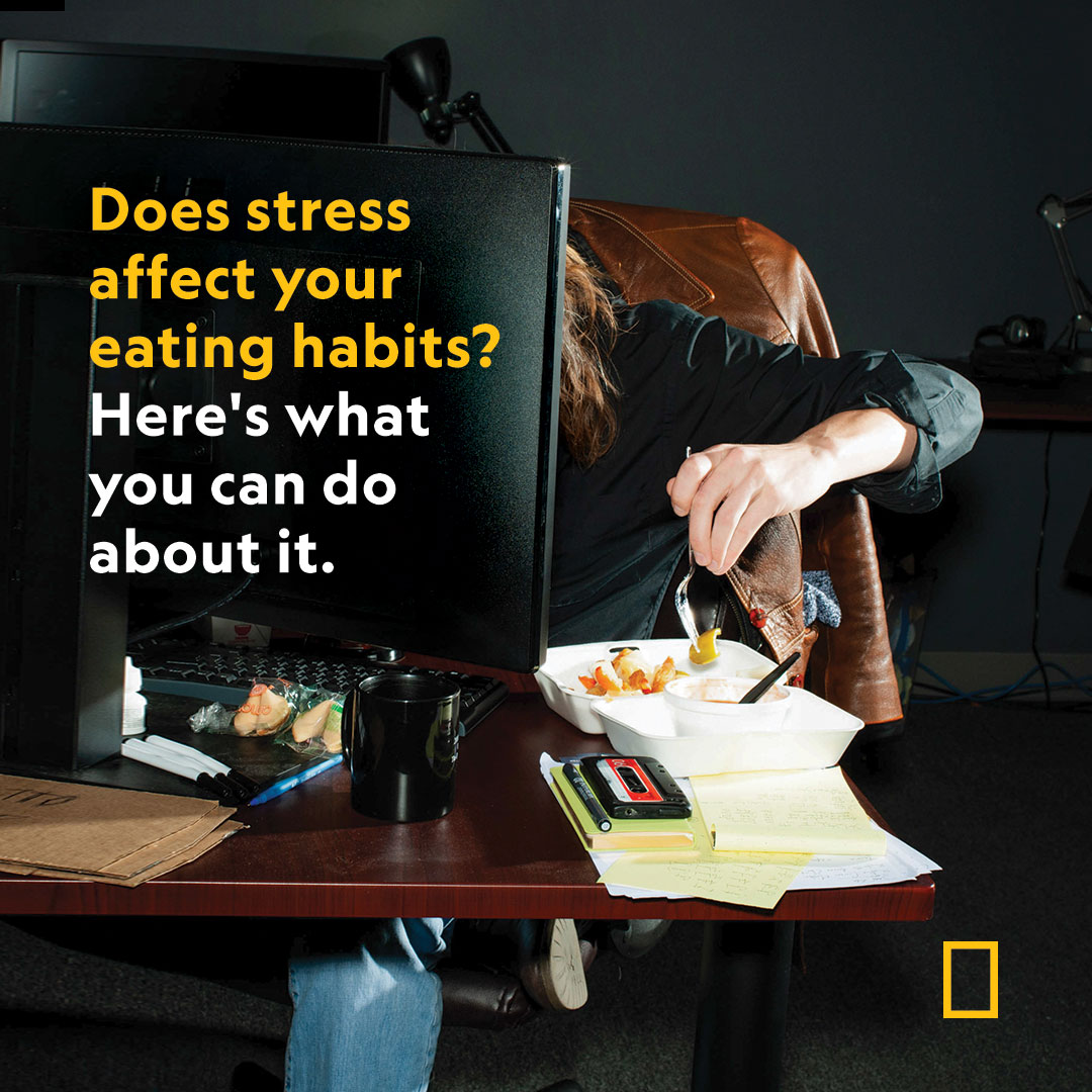 NatGeo's tweet photo. Some people eat more or gravitate toward highly palatable, high-calorie foods when they’re under stress, others lose their appetites. And some people’s eating habits don’t change at all. The reasons for the differences are complex 
 https://t.co/J1R95vmsLA https://t.co/lbAHu8mVr4