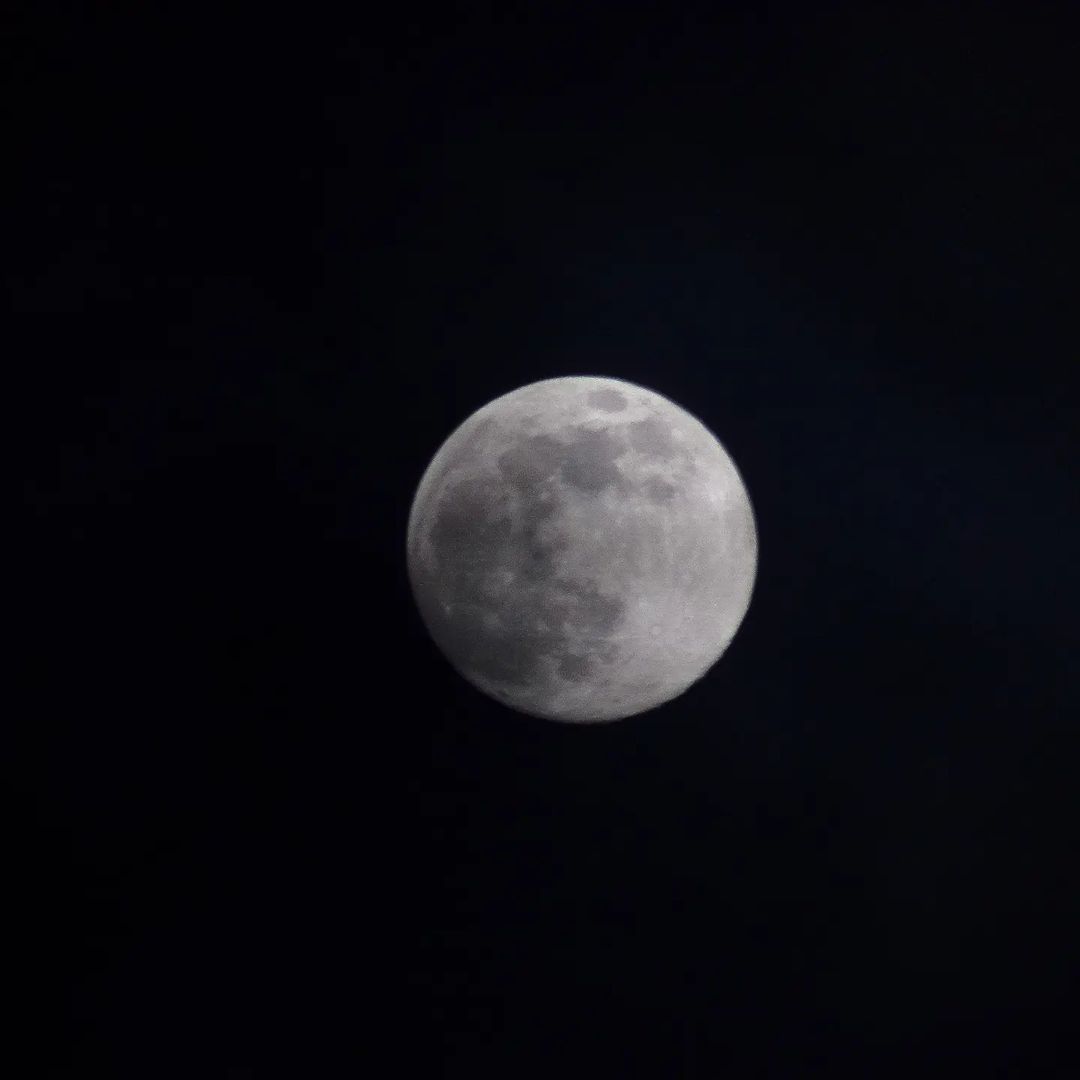 KODAKPIXPRO's tweet photo. The queen of the night.
.
.
.
.
.
.
πΈ Credit: IG User @fotosklejka
#moon #moonlight #night #photography #nature #fullmoon #space #kodadk #kodakpixpro #pixpro #az421 #sun #photooftheday #nasa #moonphotography #instagood #nightsky #sunset #astronomy #astrophotography https://t.co/mPhJGjyqgl