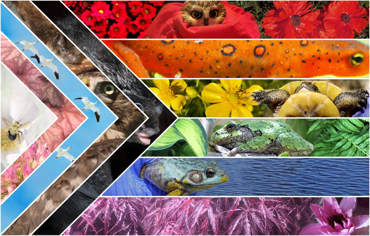 Christina Davy tweet media