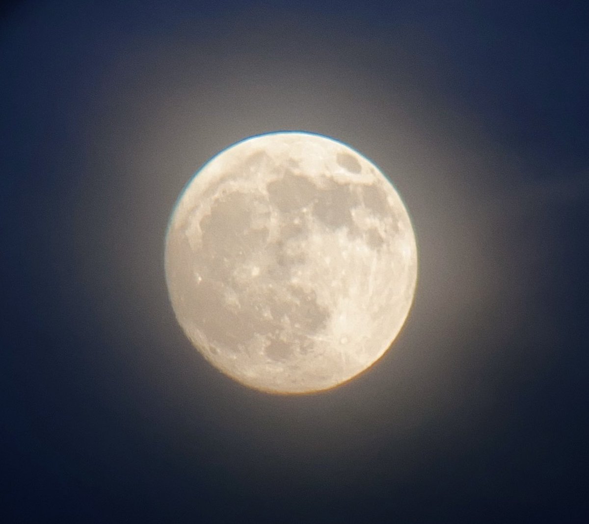 luna tweet media