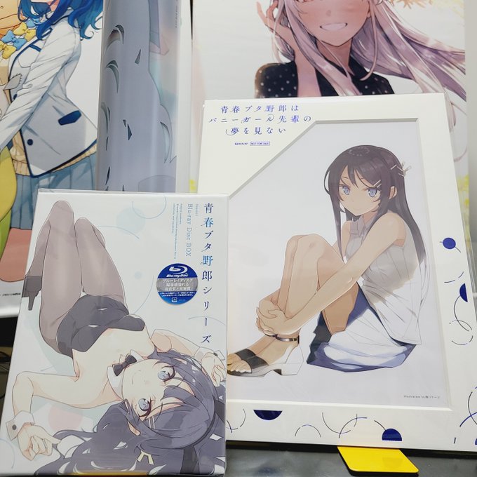 に値下げ! オリジナルフォト(青春ブタ野郎シリーズインスパイア