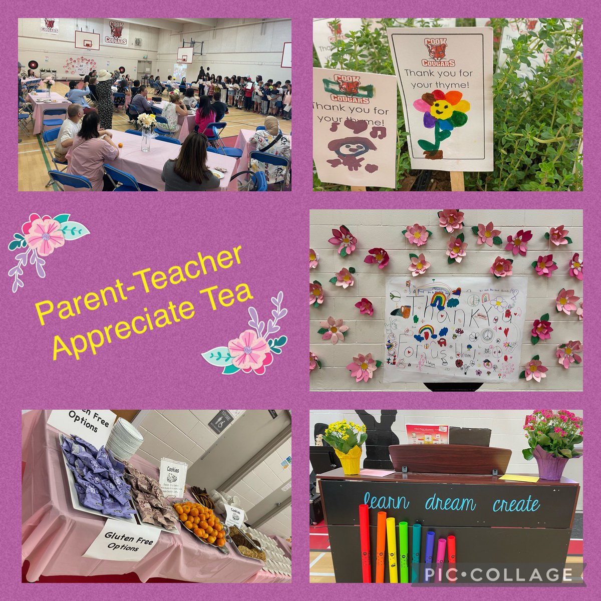 Cook Elementary tweet media