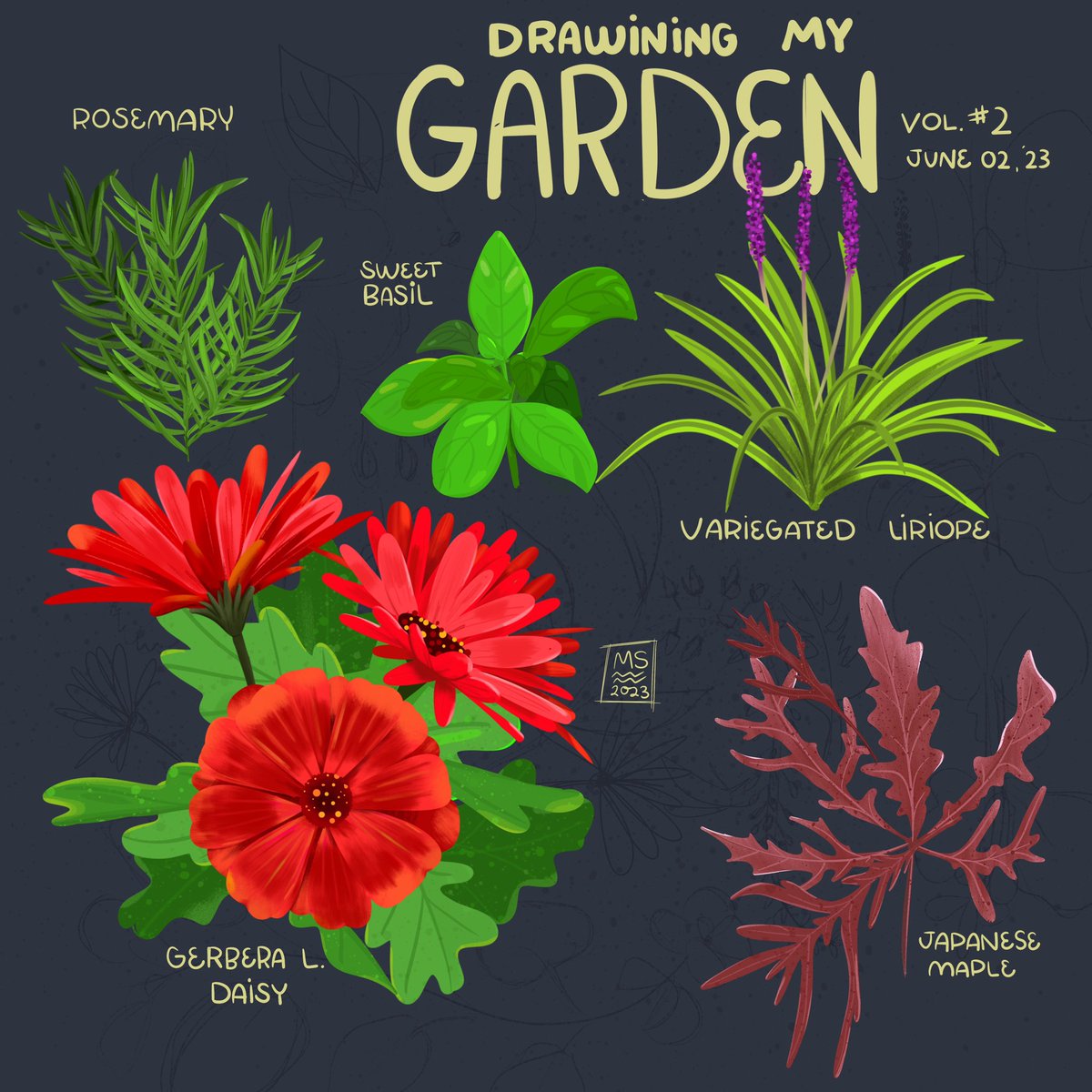 ladyandlu's tweet photo. More plants from my yard! #drawing https://t.co/fEfyrvt1QA