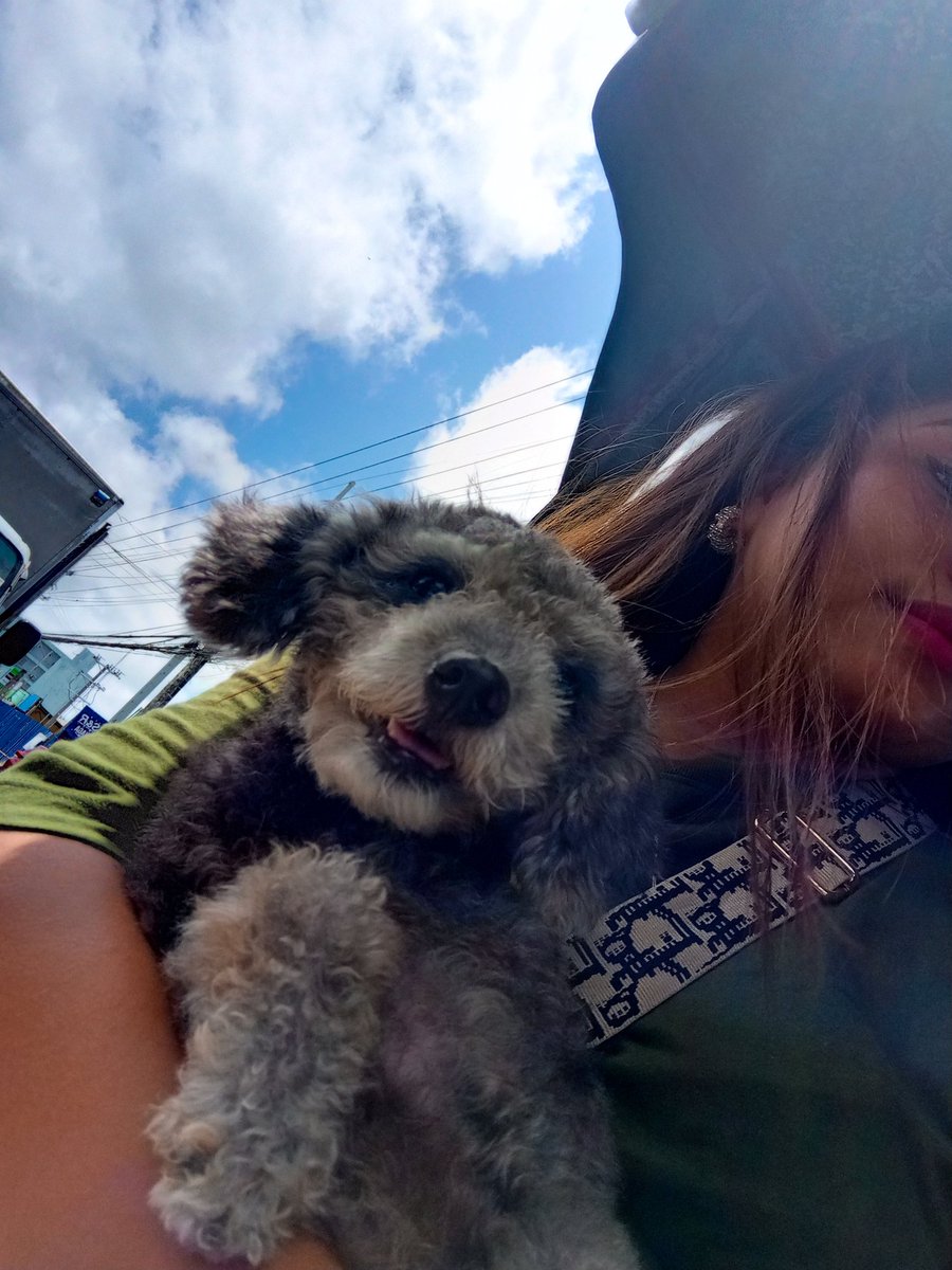 ercmpllr's tweet photo. Hi shanara🥰🥰 https://t.co/sOfwJ83ACa