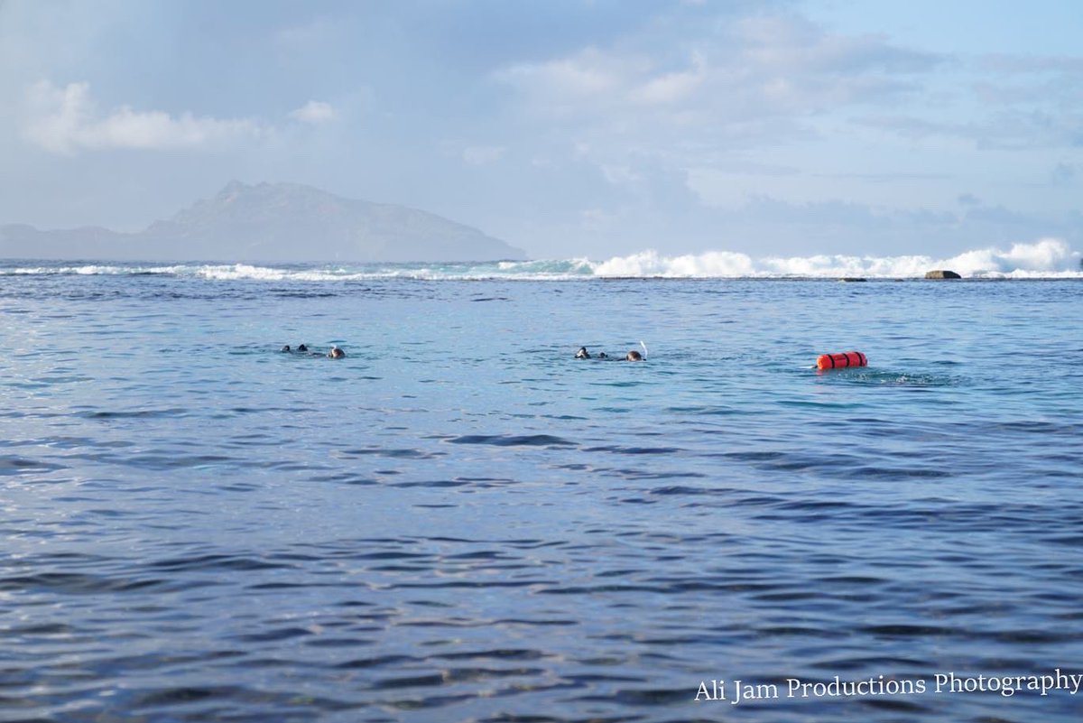 AusYCSEC (@ausycsec) on Twitter photo Good news! ๐ฐ ๐๏ธ โผ๏ธ - We are extending the time for abstract submissions - entry open for another 2 weeks !! So get involved because we want to hear all about the research youโve been up to in your coastal science and engineering field!! ๐๐ฌ๐ ๏ธ
ausycsec.com.au/call-for-abstrโฆ Good news! ๐ฐ ๐๏ธ โผ๏ธ - We are extending the time for abstract submissions - entry open for another 2 weeks !! So get involved because we want to hear all about the research youโve been up to in your coastal science and engineering field!! ๐๐ฌ๐ ๏ธ
ausycsec.com.au/call-for-abstrโฆ