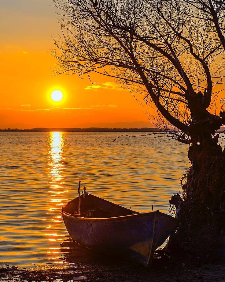 Da___Eliz's tweet photo. 🌹✍️But seek first his kingdom and his righteousness, and all these things will be added to you. 
Matthew 6.33🙏🏻

#nature #GodisLove #goodnight https://t.co/BTKucS7yKK