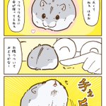 すごく意外･･･!ハムスターの手足の長さについて描いた、とっても可愛い漫画が話題に!