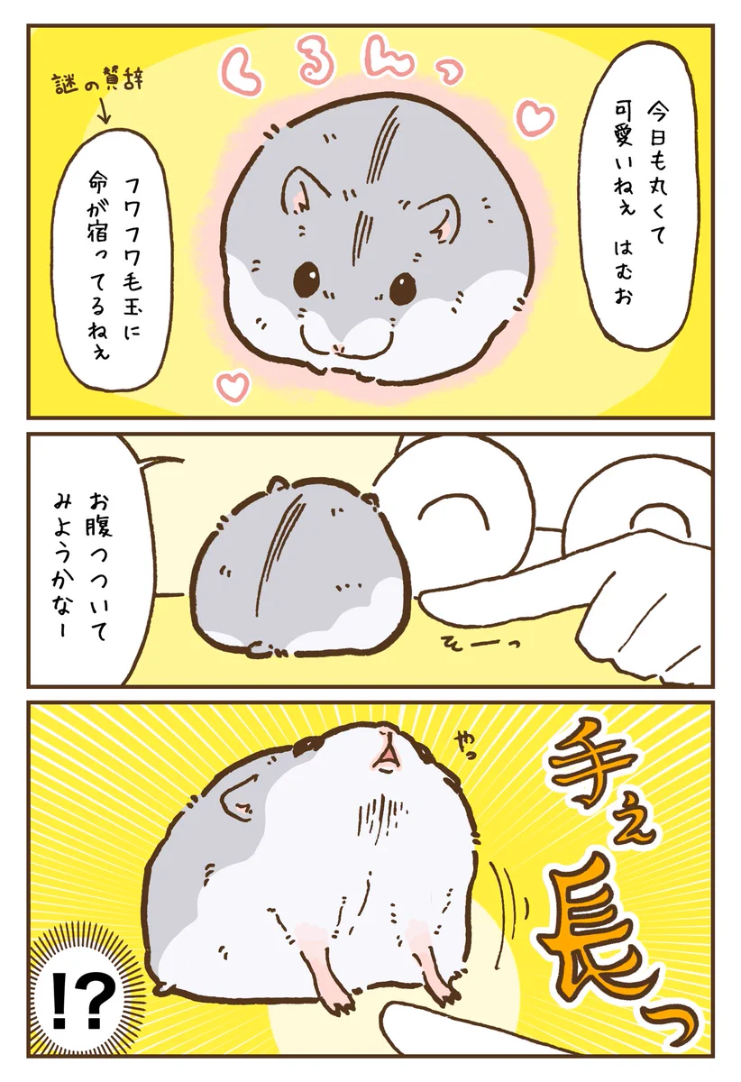 すごく意外･･･！ハムスターの手足の長さについて描いた、とっても可愛い漫画が話題に！