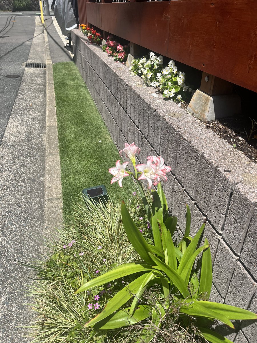 Andrew McDaniel tweet media