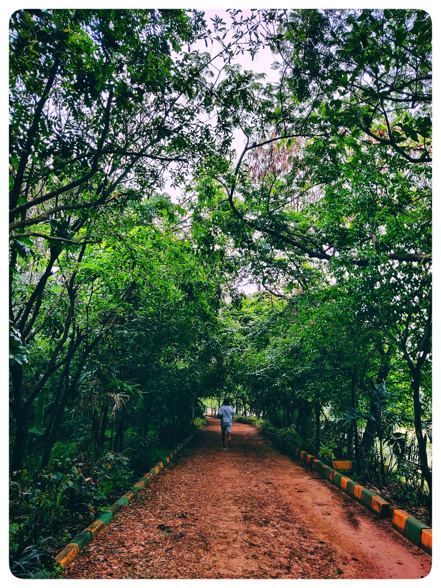 Stepping into the Weekend with a Refreshing Morning Stroll 🚶📸 #ShotOnOnePlus ✨