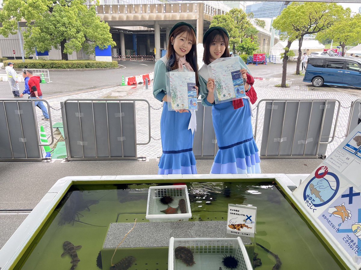 #横浜開港祭 移動水族館開催中！
学生サミットも13時からあります。
現地で参加者募集しています！
#アクアマリンふくしま #移動水族館