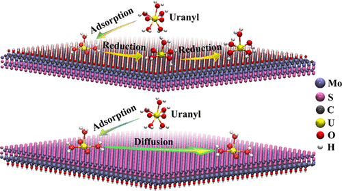 bhkenlo's tweet photo. Modeling Uranyl Adsorption on MoS2/Mo2CTx Heterostructures Using DFT and BOMD Methods https://t.co/Z6FvOKNd7K Zhao, Zhang, and co-workers @InorgChem #iranium #adsorption #MoS2_Mo2CTx #DFT #BOMD https://t.co/myt66tJIsp