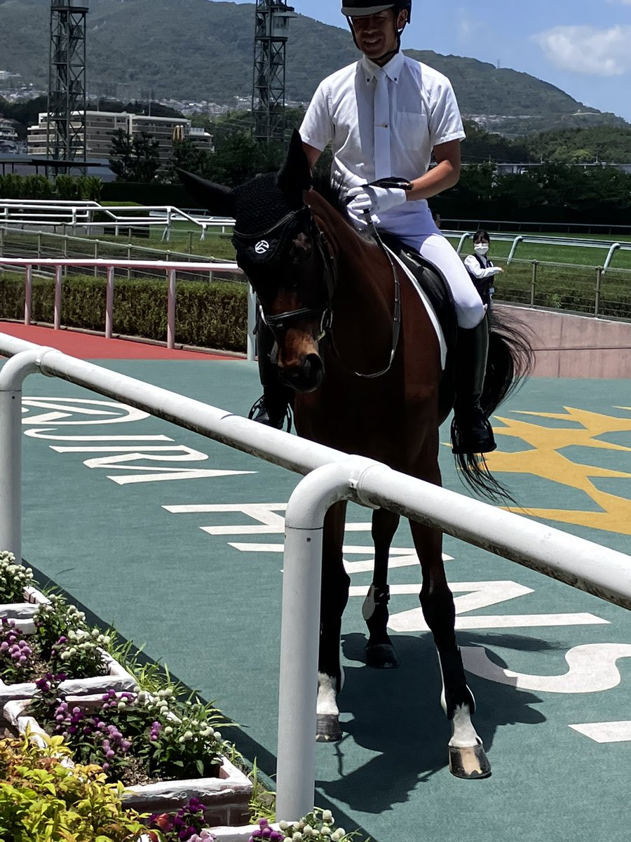 haibara0822's tweet photo. #カゼノコ
#誘導馬
 k可愛すぎる https://t.co/zUdJ8HNqpI