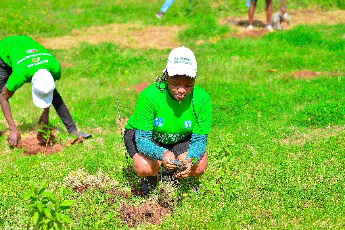yfga_kenya's tweet photo. #Narok100000Trees marked our most extensive project since the organization was founded. Together with #gitmea, we look forward to planting more trees in deforested areas in Kenya. At @yfga_kenya , we don't just plant trees, we GROW trees. #JazaMiti #15billiontrees #ecoplan #tree https://t.co/q2Cfv6WFCM