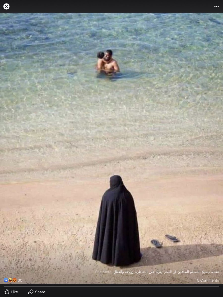 Si vous montrez cette photo à Sandrine Rousseau ou à une féministe d extrême gauche elle dira q le femme ne se baigne pas car l’eau est froide .
Sachez le .