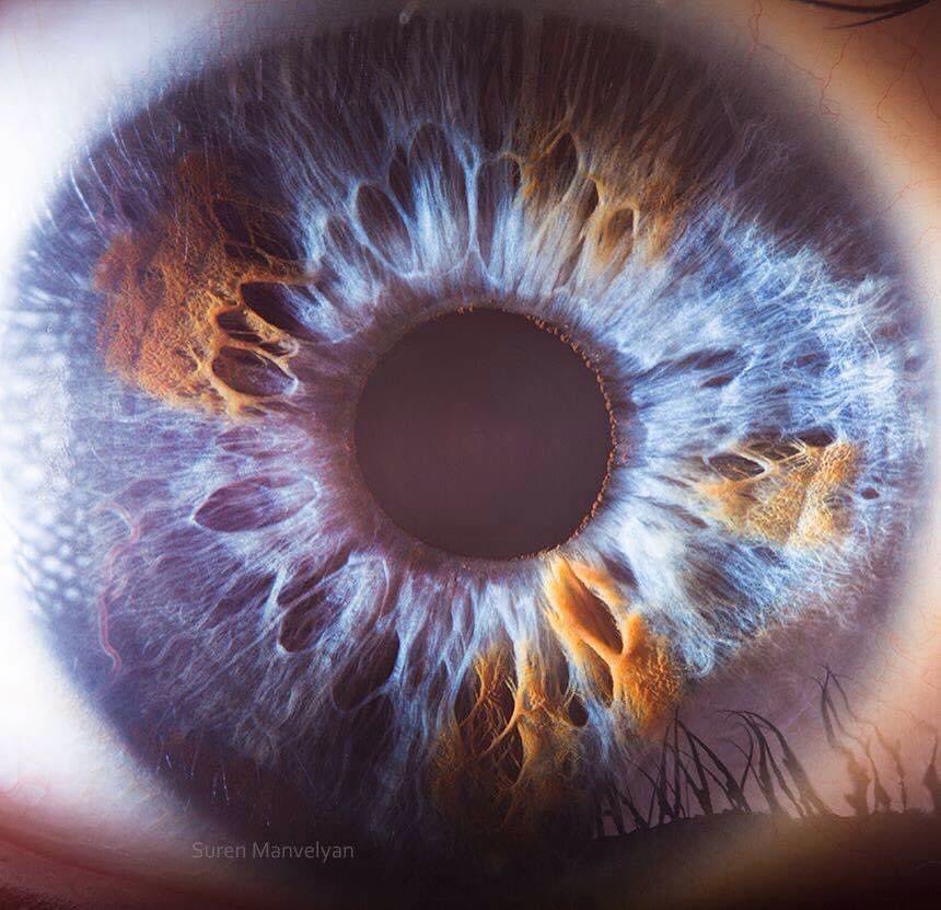 tecnooptica's tweet photo. 👁Feliz fin de semana!…la belleza del iris 👁

#óptica #tecnooptica #ojos #iris #FelizFinDeSemana #FelizFinde #belleza https://t.co/4SavAm9xRw