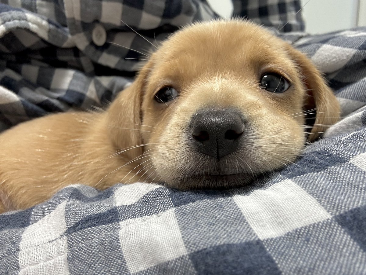 저 설거지하러 가야 돼요