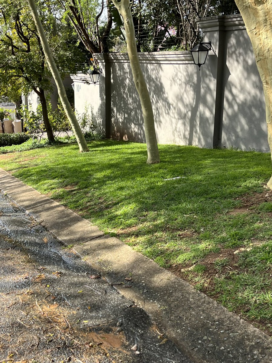 David Wyatt tweet media