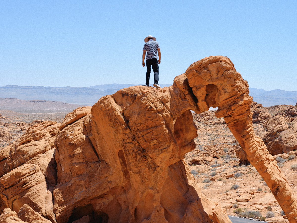 The Ant and The Elephant #nevada #valleyoffire