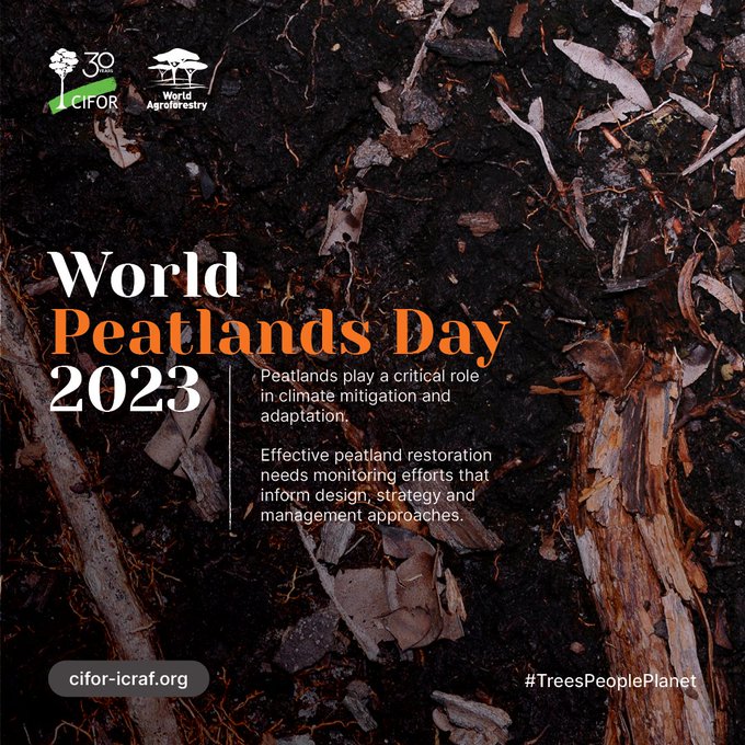 Why protect & restore #Peatlands?

 🌱They are the largest natural terrestrial carbon store

🦎 Preserve global #biodiversity

💧Provide clean water

🌊 Minimize flood risks

💨 Are key to climate change mitigation

🔗: bit.ly/36ZBNqi

#WorldPeatlandsDay
#PeatlandsMatter