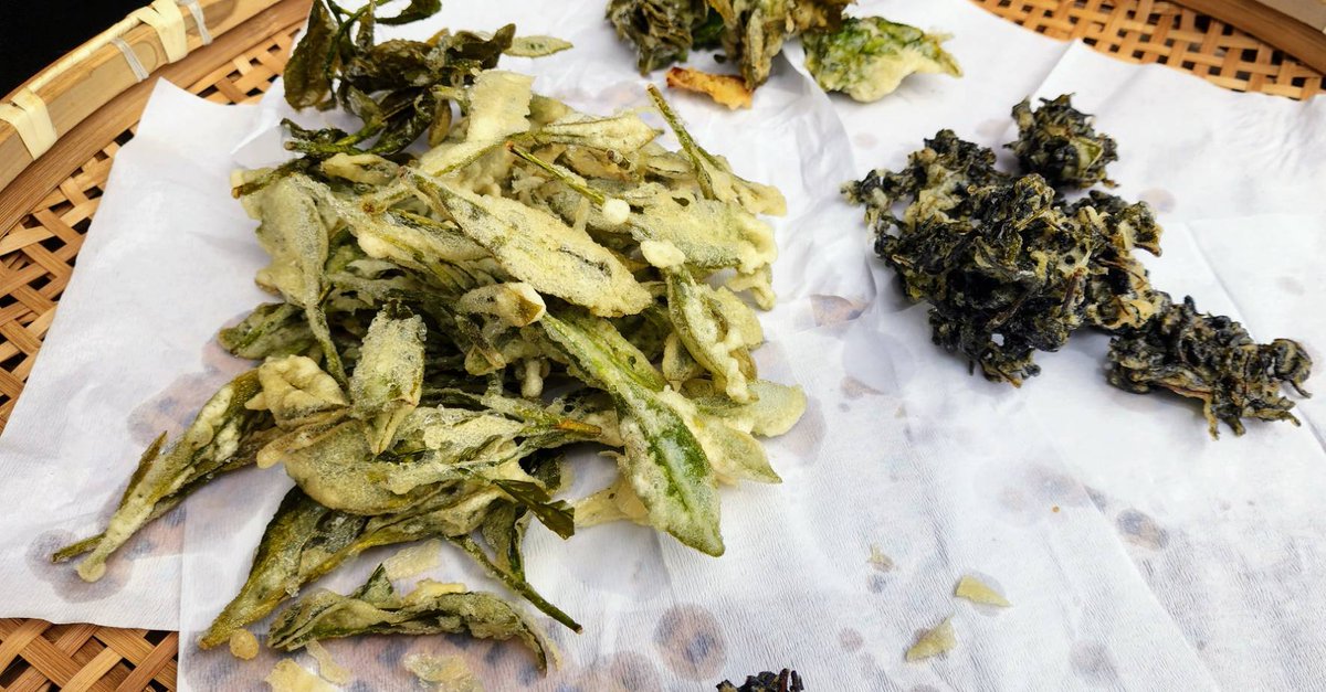 茶摘みしました