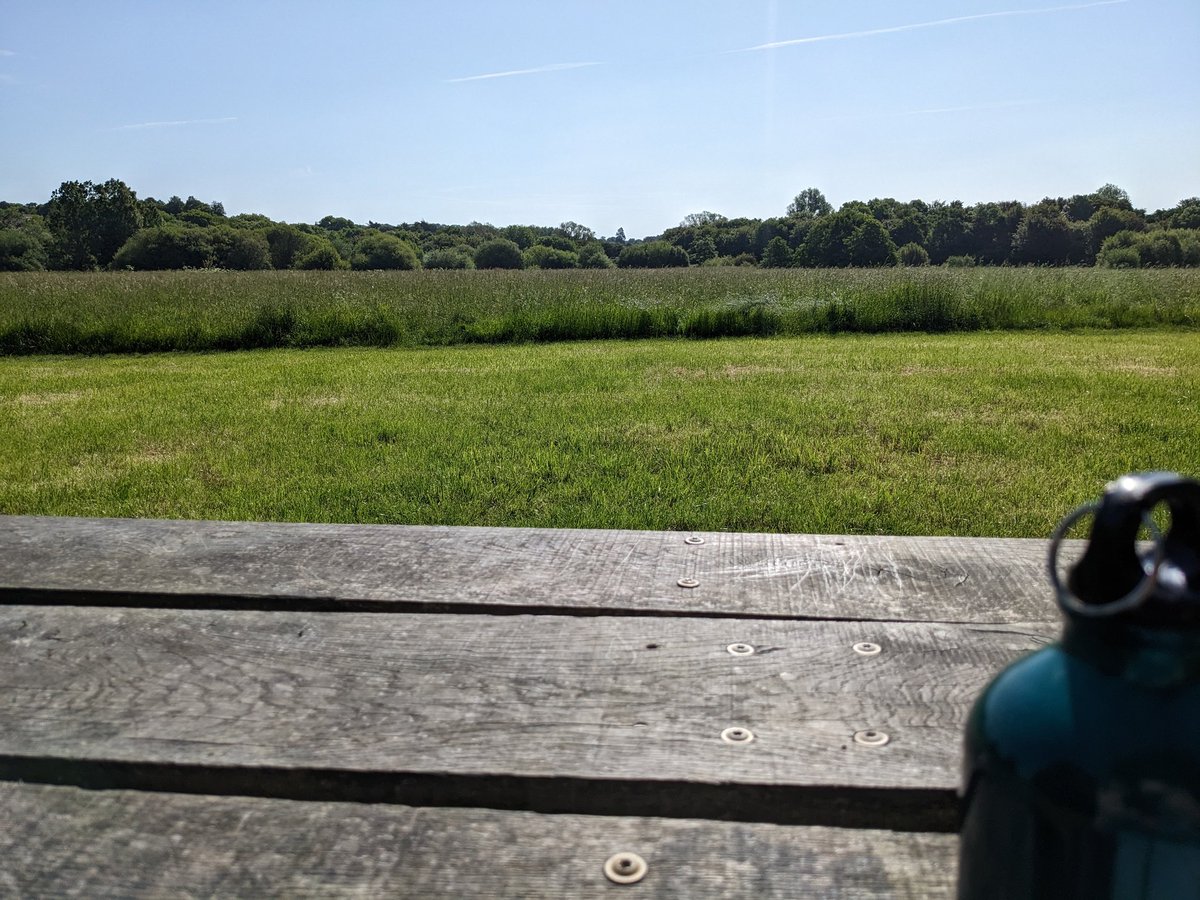 #Sitclub today in Blandford Forum in the Stour Meadows..