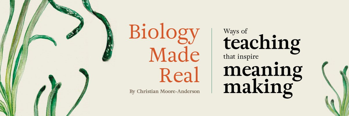 Variation theory is the most powerful pedagogical theory I know for *what to do* to bring about meaning-making.
Pairing CLT with variation theory🟰powerful teaching
I explain VT thoroughly, its history, its philosophy, its principles, & examples from my classroom, in my book: