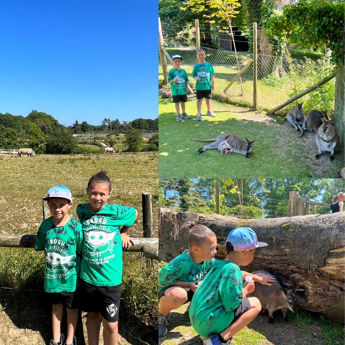 emorges's tweet image. Gethin and Iestyn enjoyed their sports activities with Menter laith this week. Iestyn had fun looking for animals on safari after having fun in school with his class 🦓🐅 @YGCwmbran