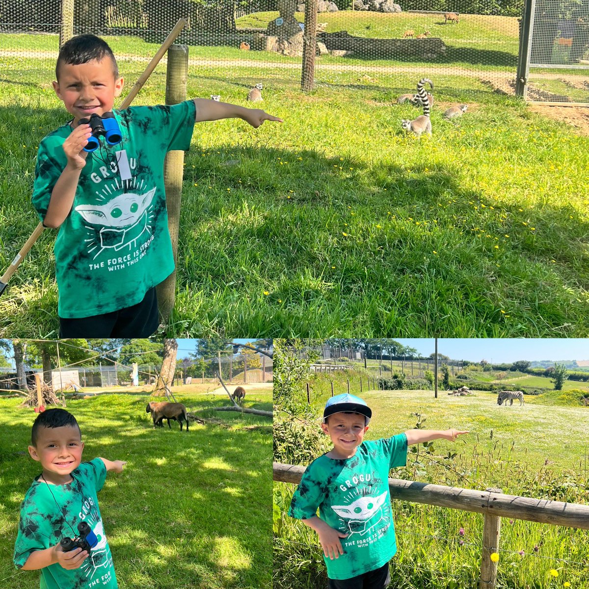 emorges's tweet image. Gethin and Iestyn enjoyed their sports activities with Menter laith this week. Iestyn had fun looking for animals on safari after having fun in school with his class 🦓🐅 @YGCwmbran