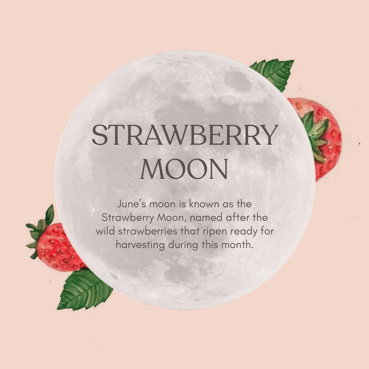 Make sure to look up at the sky tonight to see June’s full moon - the Strawberry Moon 🍓

In North America, the harvesting of strawberries gives us this name, however, June’s full moon can also be known as the Rose Moon or the Hot Moon. Which name is your favourite? 🌕

#weleda