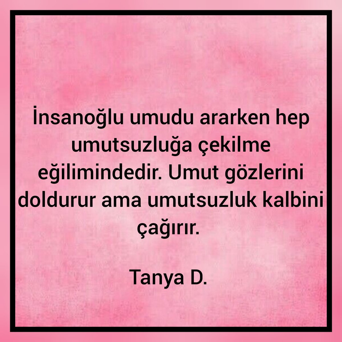 Piramit Koza Akademi (@tanyajaziri) on Twitter photo 