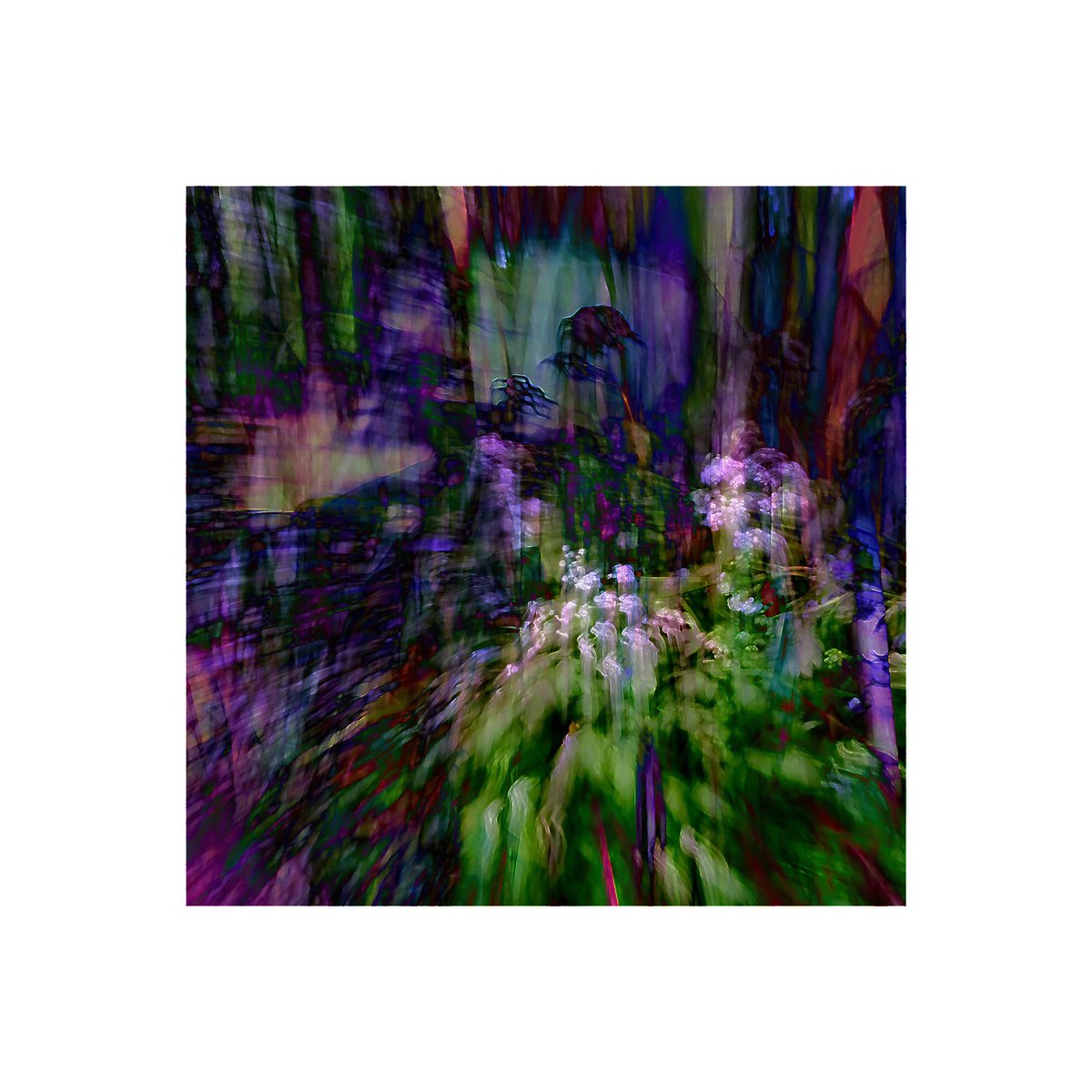 Day 154365 days of ICM photography 
#icmphotography #icm #intentionalcameramovement #abstractphotography #abstract #icmphoto #icmphotomag #impressionistphotography #bluronpurpose #camerapainting #365in2023