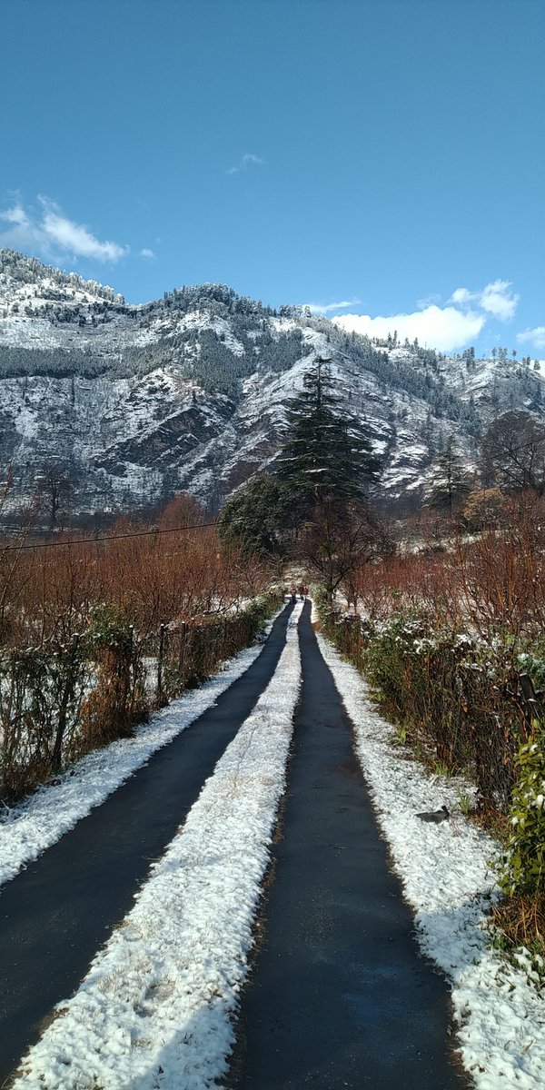 @mahimathakur_ I don't know about paintings but how about a masterpiece!!
straight from kullu❄️

#photography