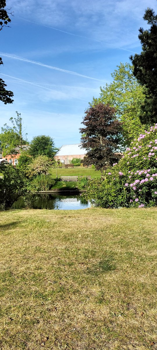 clive_baines's tweet photo. Botanic Gardens Churchtown Southport looking really good as I take the dog for a  walk.
#botanicgardens #GardenersWorld #southport #village #sunshine #FlowersOnFriday #garden #trees #walking https://t.co/6OF1VUBtbn