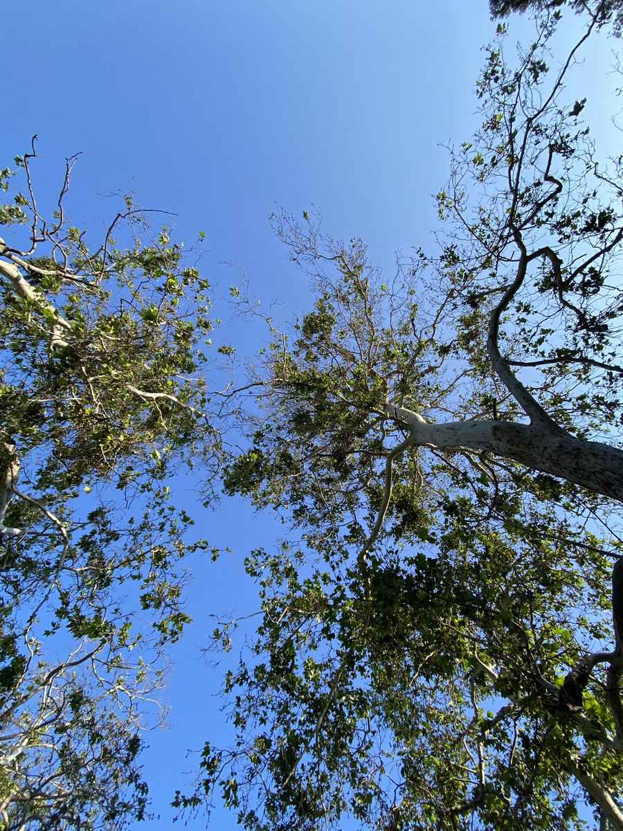 William Cashion tweet media